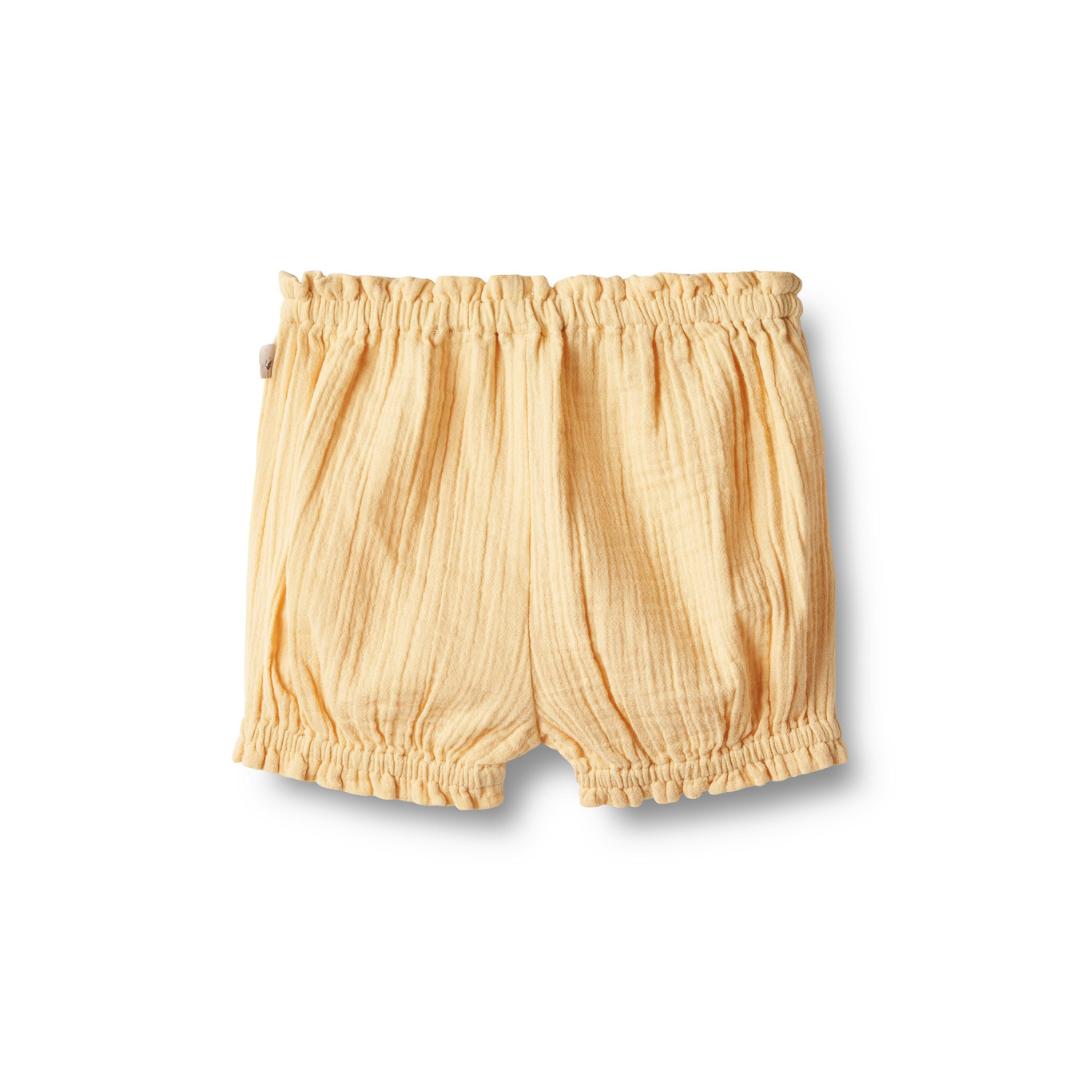 Wheat Angie bloomers pale apricot