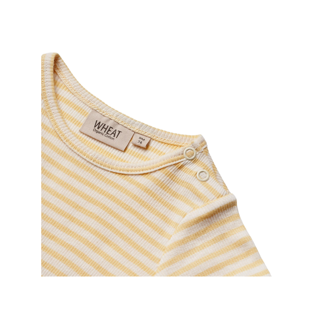Wheat Elisa body pale apricot stripe