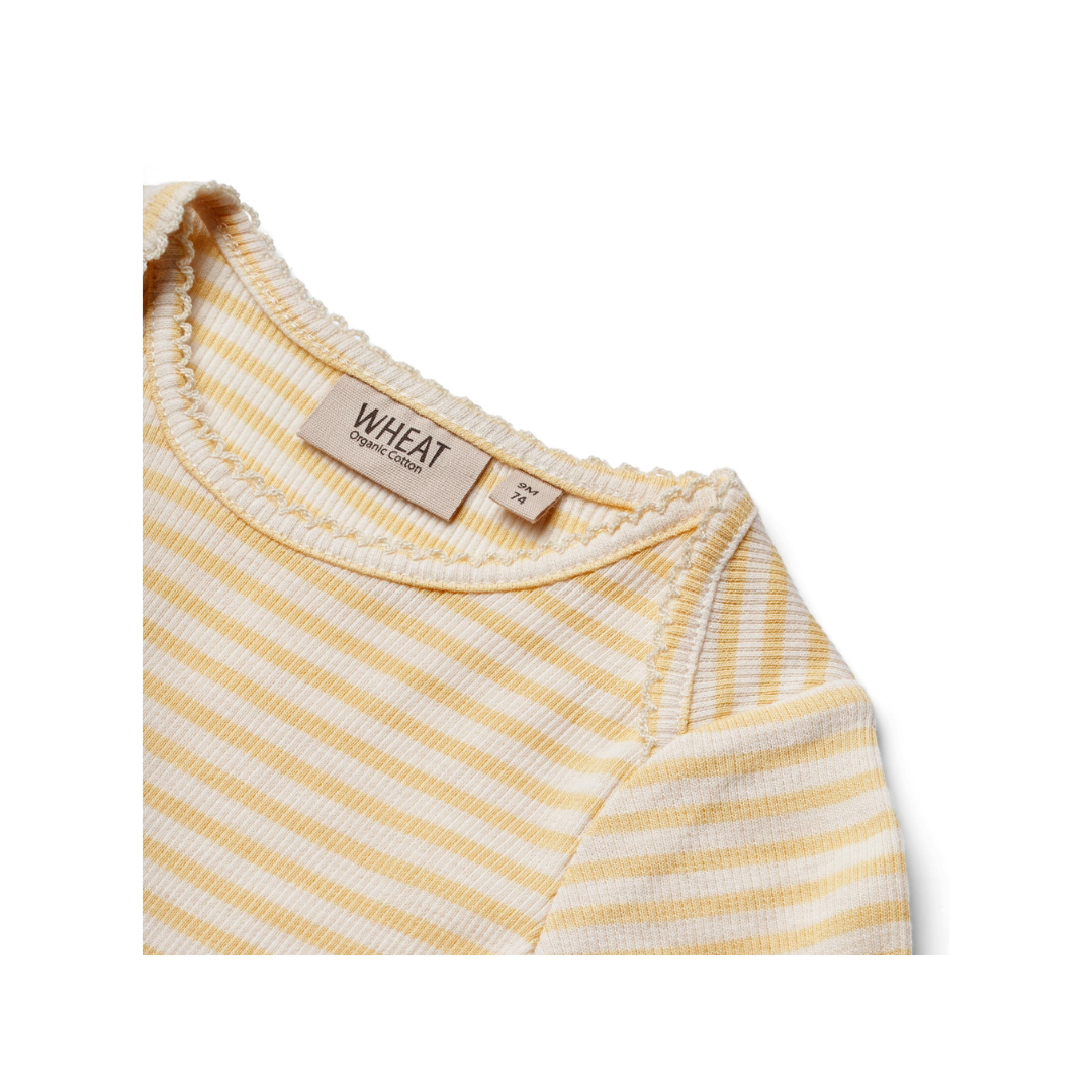 Wheat Rie bodystocking pale apricot stripe