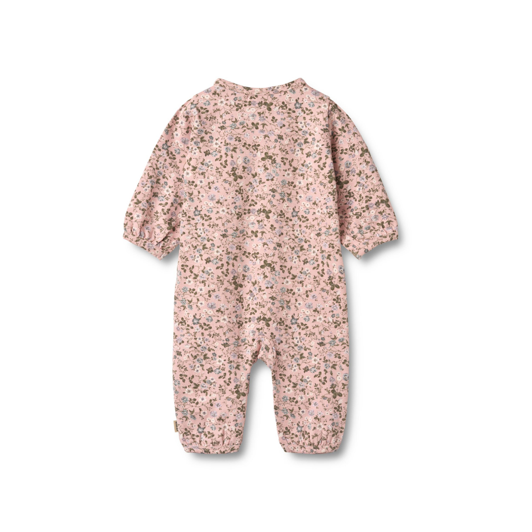 Wheat Felizia heldragt rose powder flowers