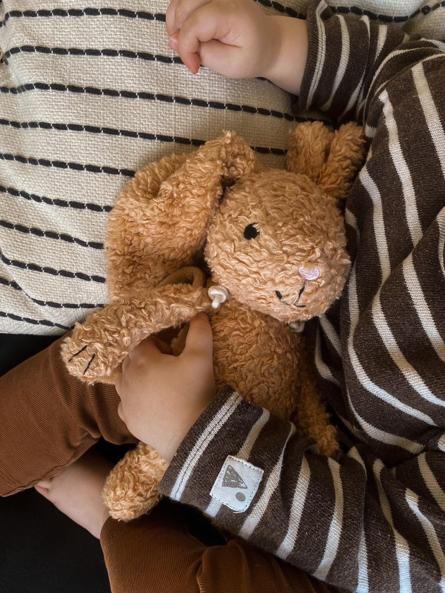 Sleeping Hero Den lyttende kanin