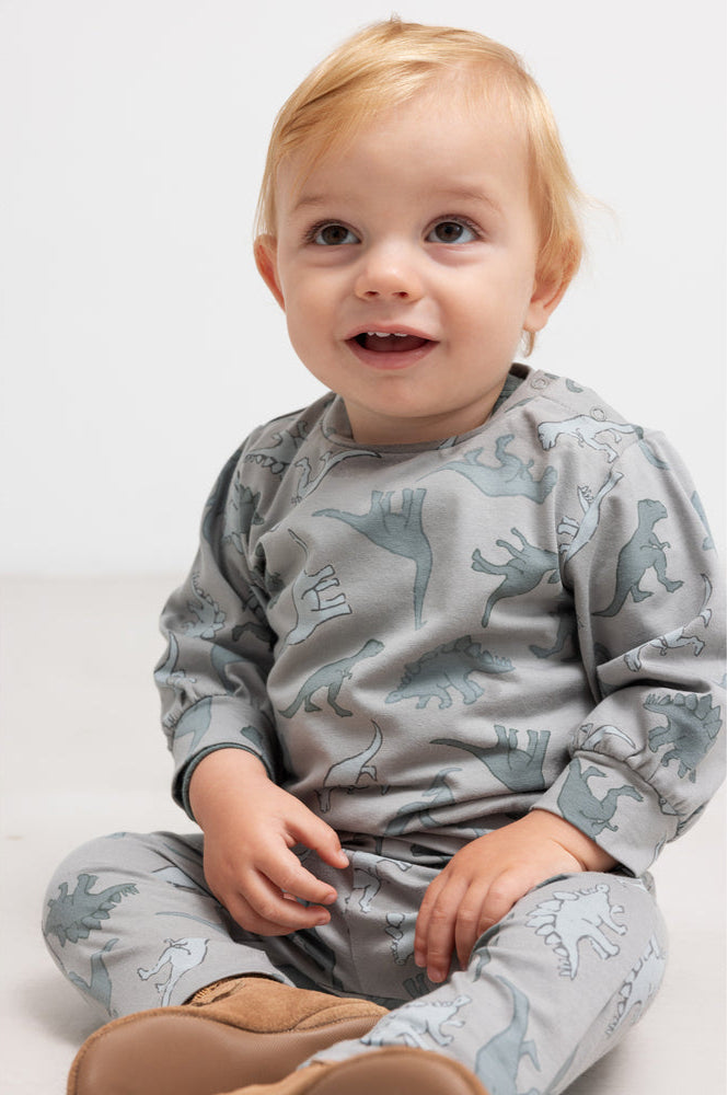 Dreng med MarMar Telmo sweatshirt dino jungle