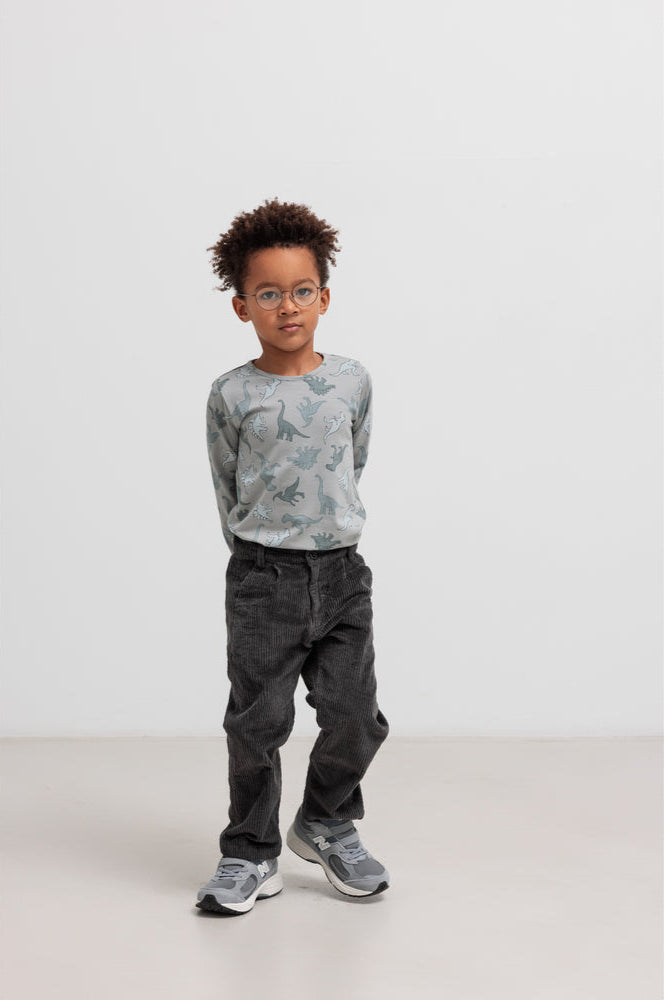 Dreng med MarMar Teller bluse dino jungle