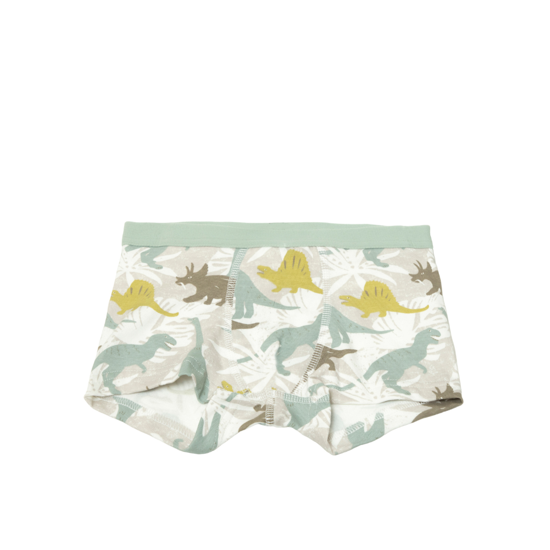 Joha Bomuld boxershorts dinosaur