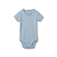 Wheat Edvald body SS faded blue stripe