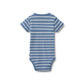 Wheat Edvald body SS blue stripe