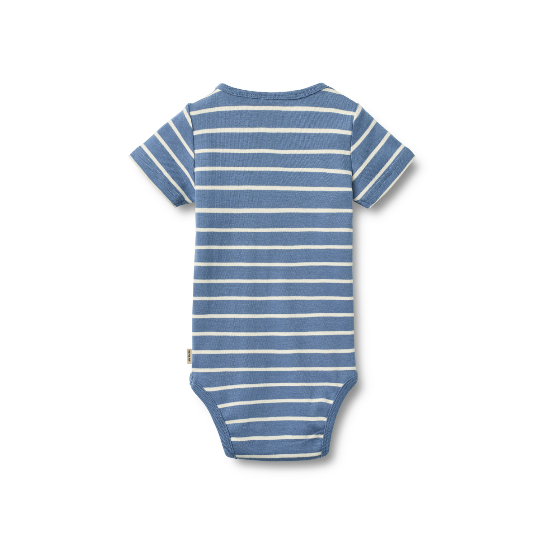 Wheat Edvald body SS blue stripe