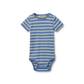 Wheat Edvald body SS blue stripe