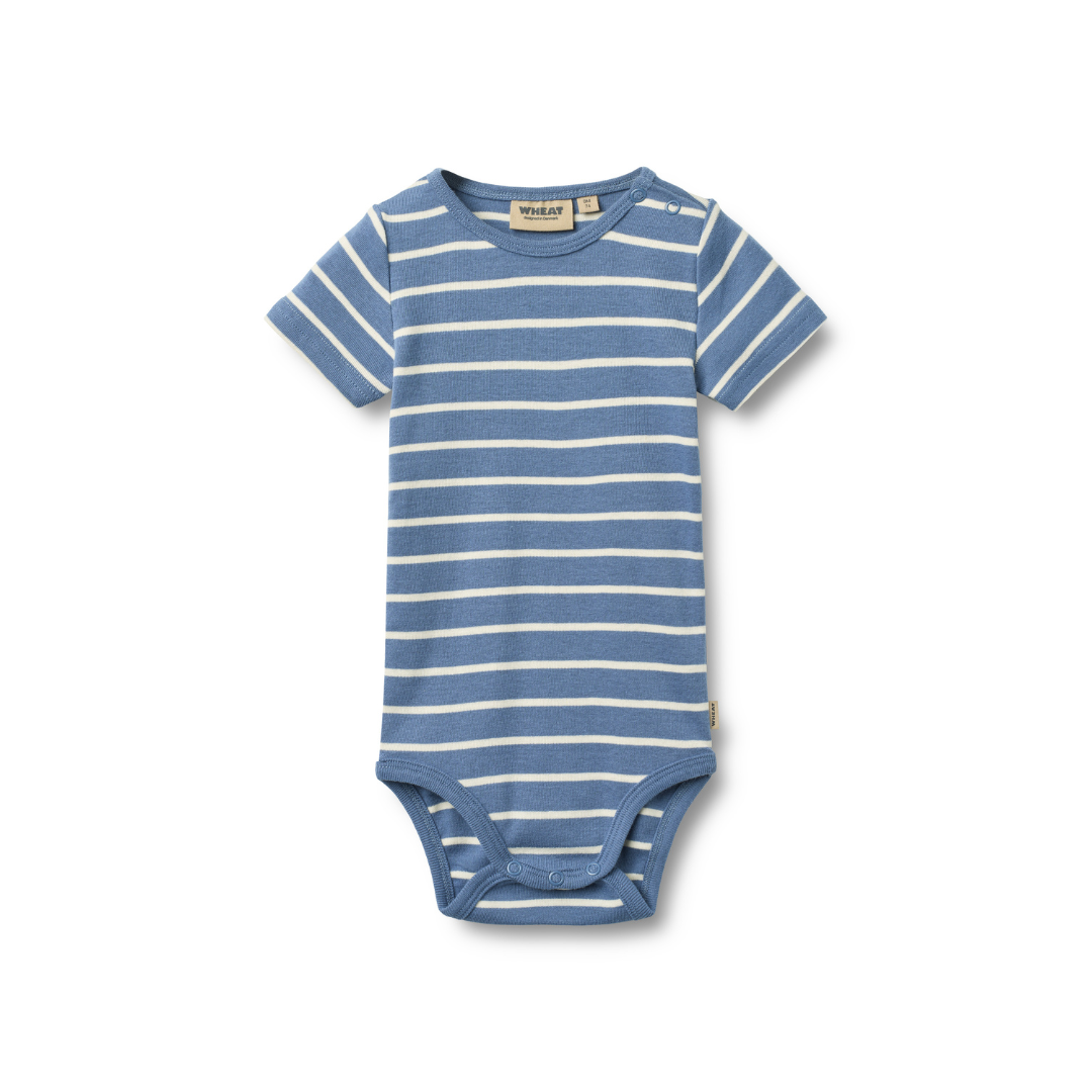 Wheat Edvald body SS blue stripe